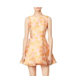Cherry Blossom Cynthia rowley sz 6 dress from revolve
